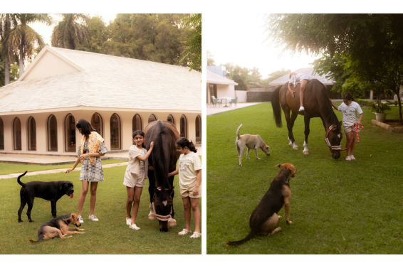 LaRiSa Hotels & Resorts’ Pet-Friendly Collection